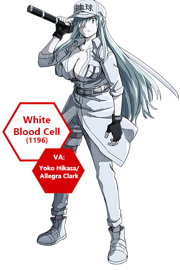 CHARACTER  Cells at Work Official USA Website