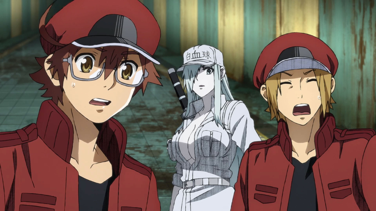 Cells at work, Red blood cell